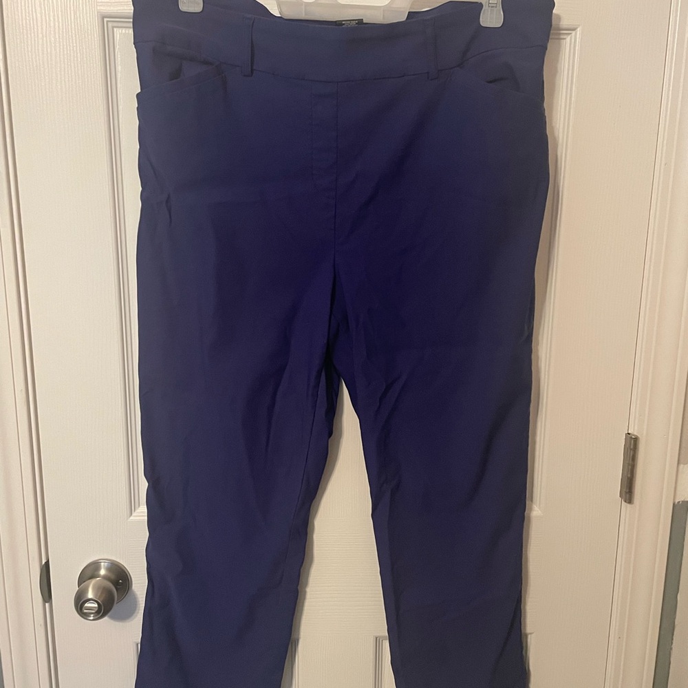 Hilary Radley Stylish Blue Pants XXL